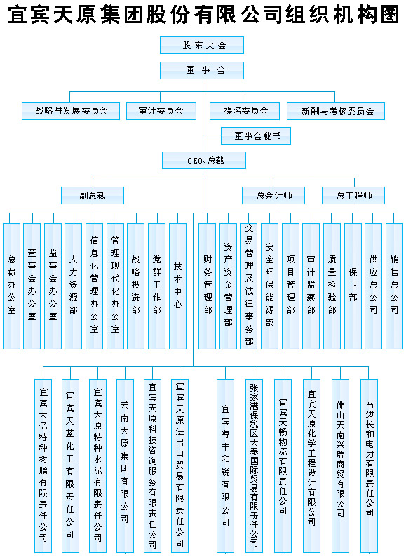 公司財務(wù)管理(財務(wù)資金管理)