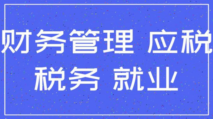 房地產(chǎn)稅務(wù)籌劃方案(個人稅務(wù)與遺產(chǎn)籌劃過