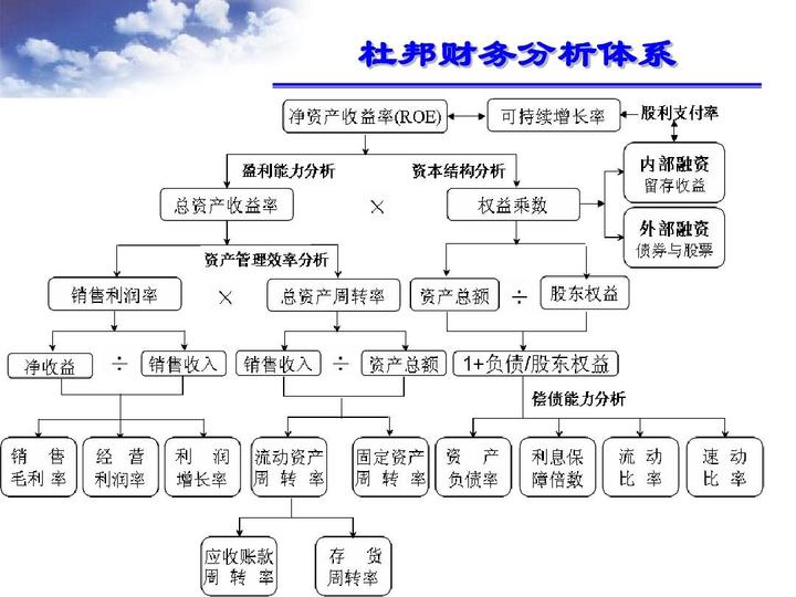 財(cái)務(wù)報(bào)表綜合分析(財(cái)務(wù)稽核報(bào)表)(圖4)