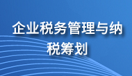 房地產(chǎn)稅收籌劃(稅收實務(wù)與籌劃)