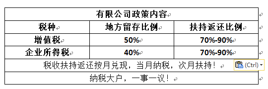 公司如何籌劃稅務(wù)(公司消費稅籌劃論文)(圖2)